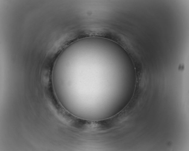 X0000112110695200908111442