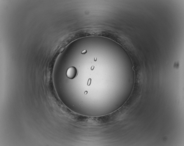 X0000112110697200908111442