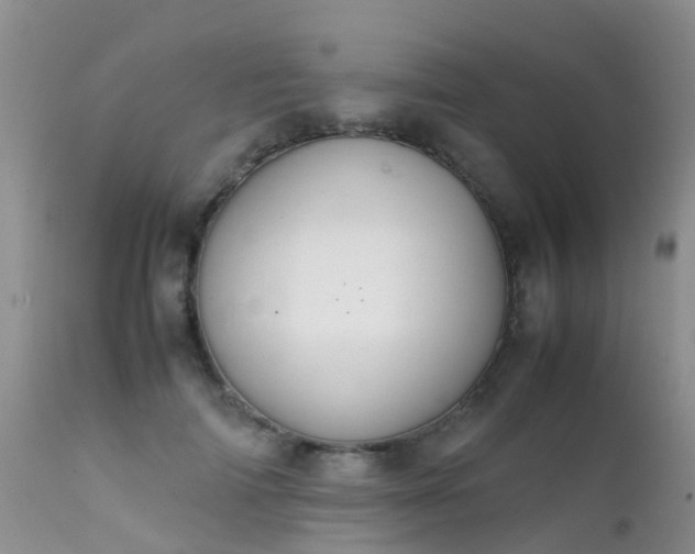 X0000112110698200908111442