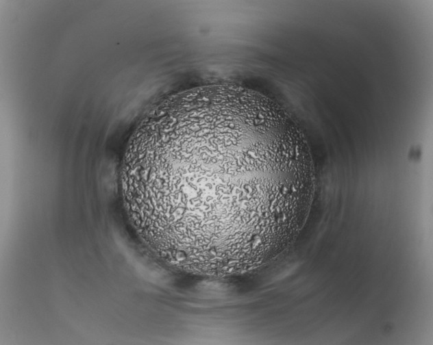 X0000112110699200908111442