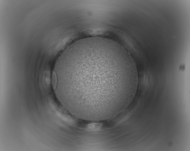 X0000112110700200908111442