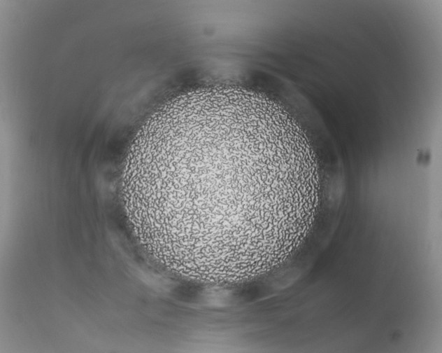 X0000112110701200908111442