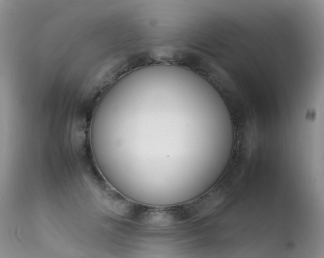 X0000112110702200908111442