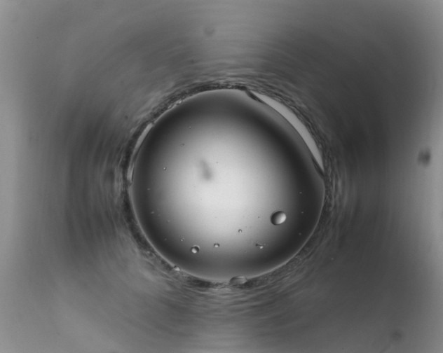 X0000112110704200908111442