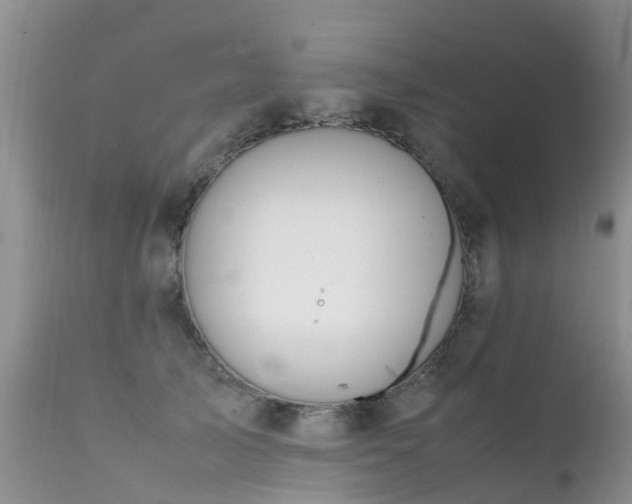 X0000112110705200908111442