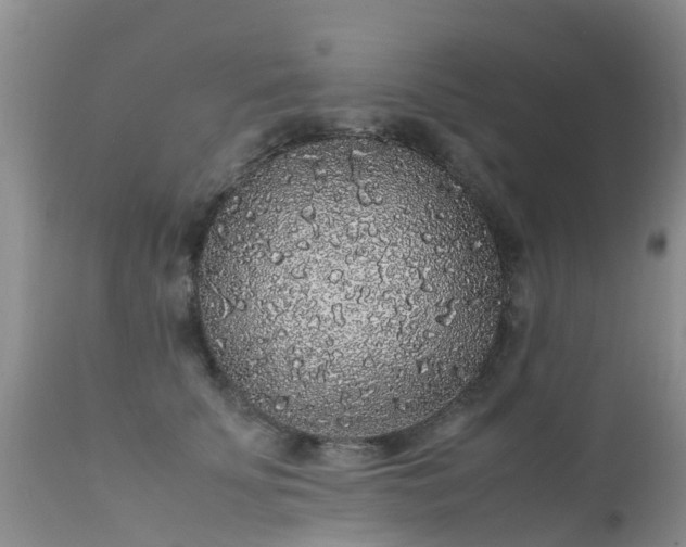 X0000112110707200908111442