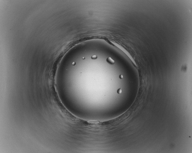 X0000112110708200908111442