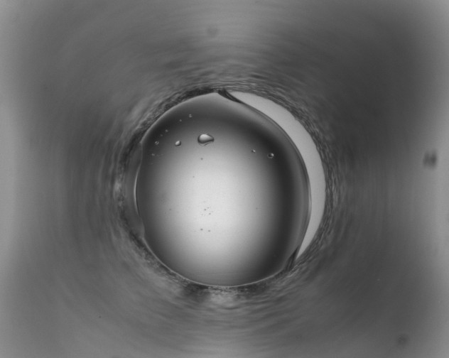 X0000112110709200908111442