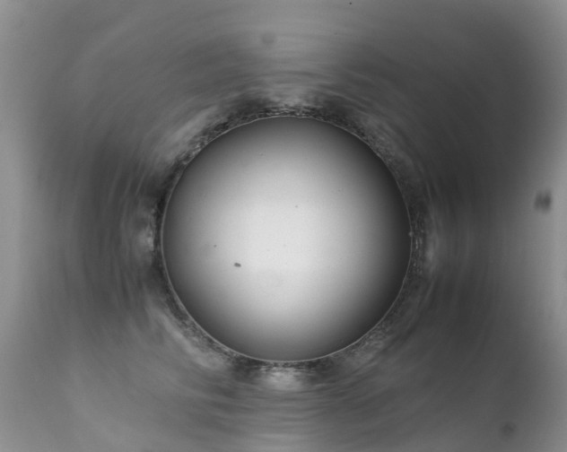 X0000112110710200908111442