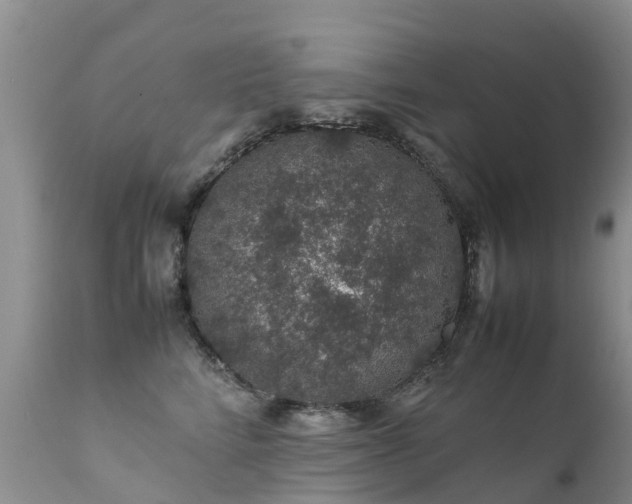 X0000112110712200908111442