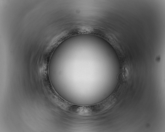 X0000112110714200908111442