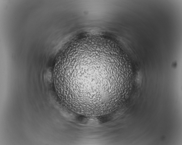 X0000112110715200908111442