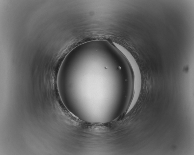 X0000112110716200908111442