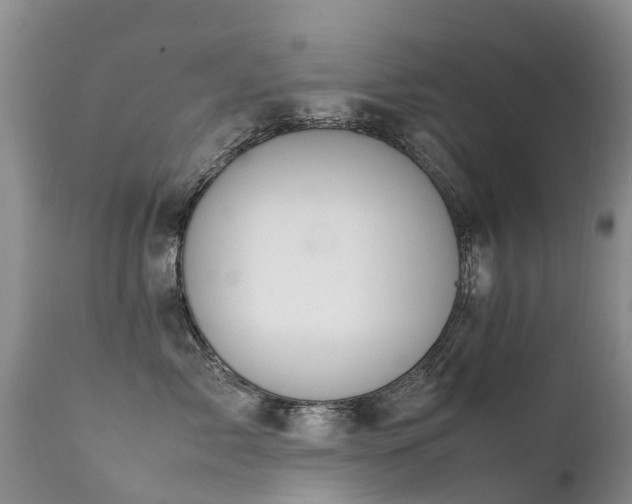 X0000112110717200908111442