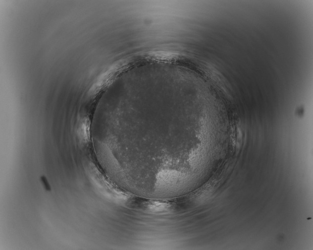 X0000112110718200908111442