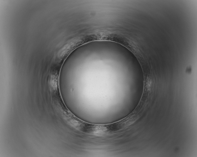 X0000112110719200908111442