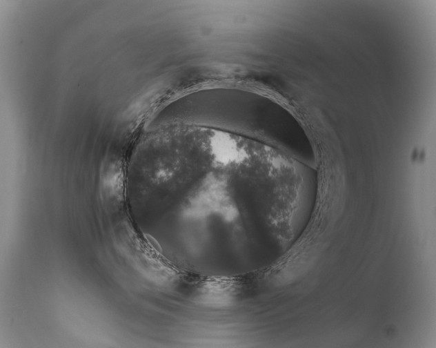 X0000112110720200908111442