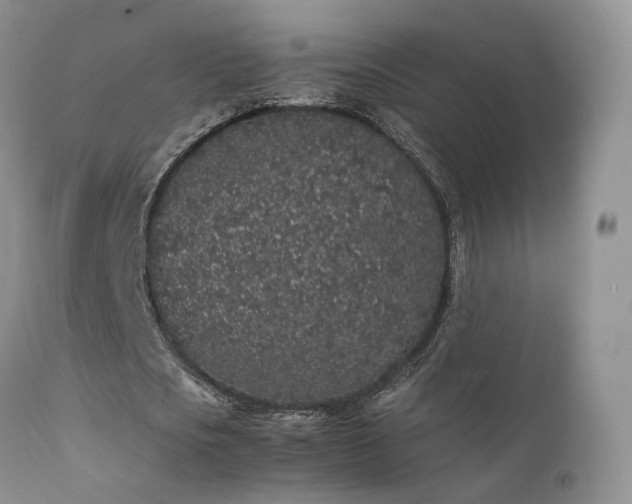 X0000112110721200908111441