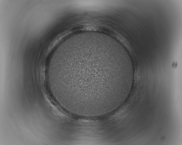 X0000112110722200908111442