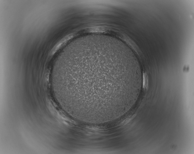 X0000112110723200908111442