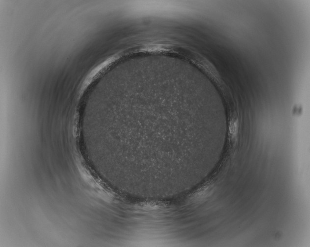 X0000112110724200908111442