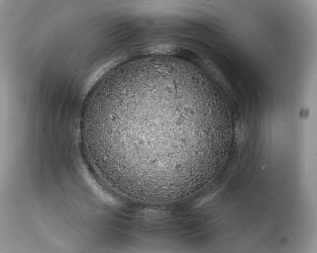 X0000112110725200908111442