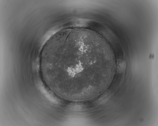 X0000112110726200908111442