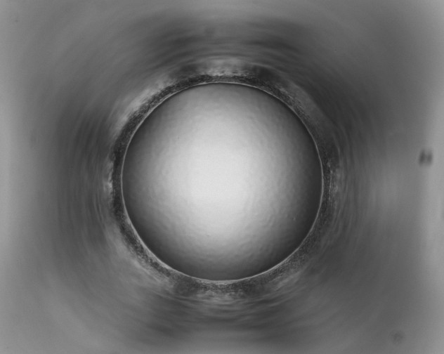 X0000112110727200908111442