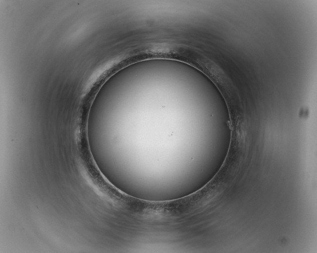 X0000112110728200908111442