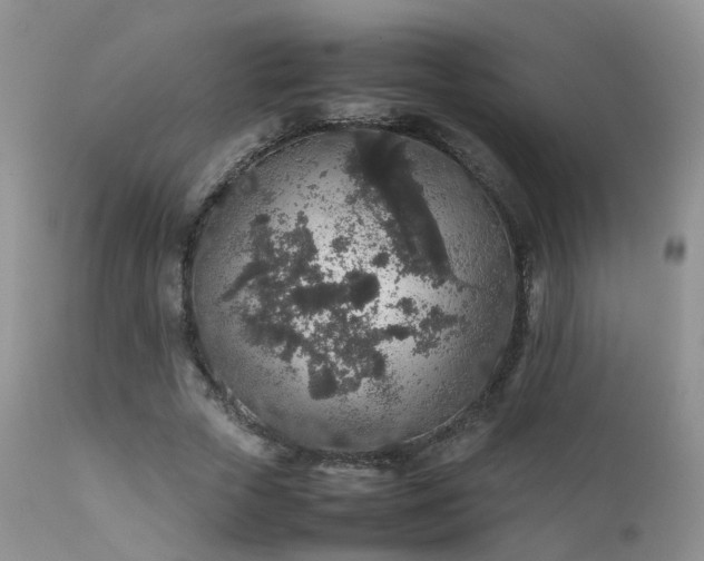 X0000112110729200908111442