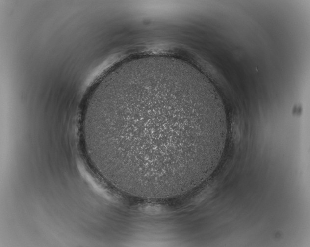 X0000112110730200908111442