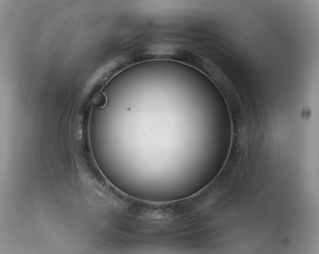 X0000112110731200908111442