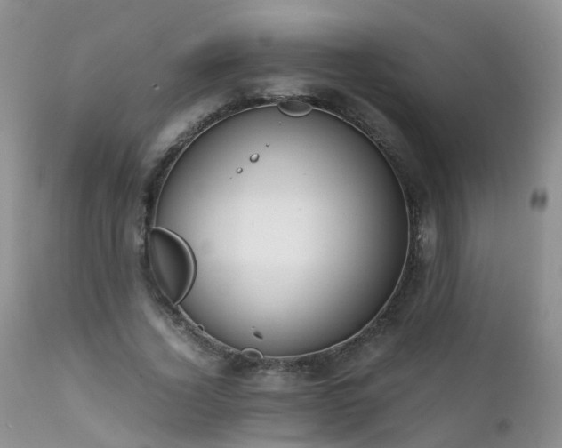 X0000112110732200908111442