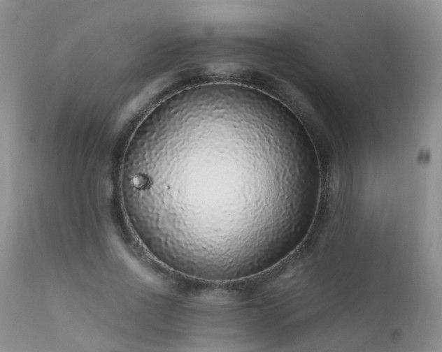 X0000112110734200908111442