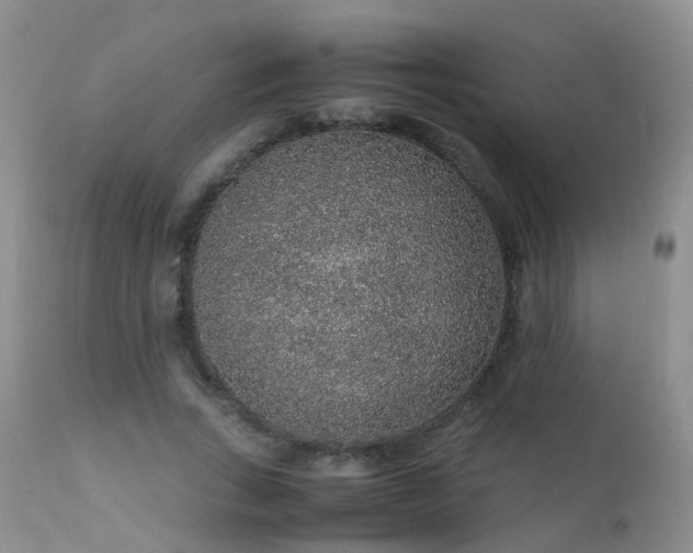 X0000112110735200908111442