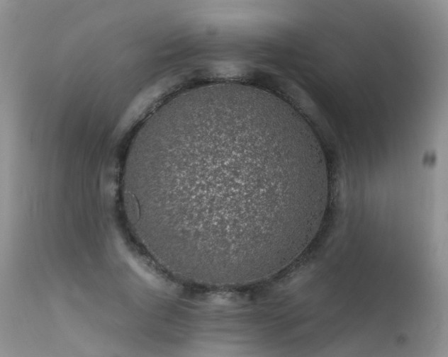 X0000112110736200908111442