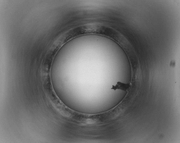 X0000112110737200908111442