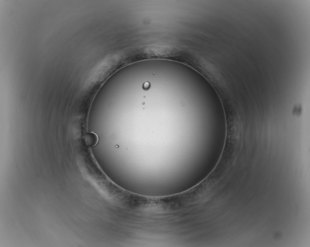 X0000112110738200908111442