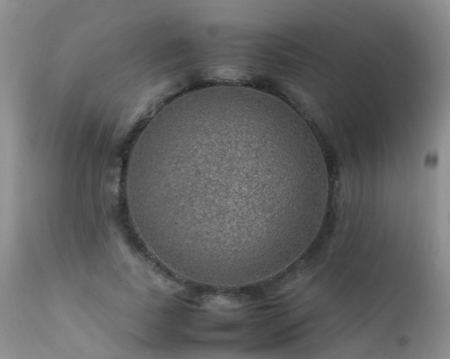 X0000112110739200908111442