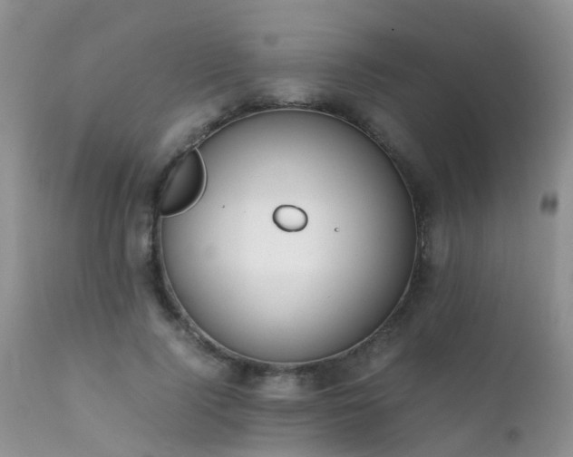 X0000112110740200908111442