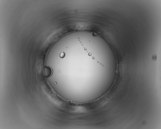 X0000112110741200908111442