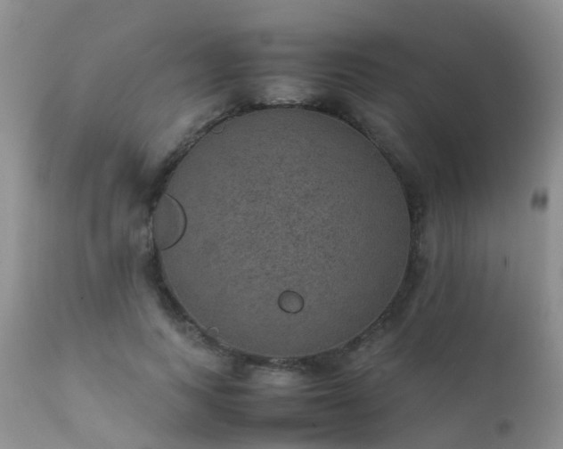 X0000112110743200908111442