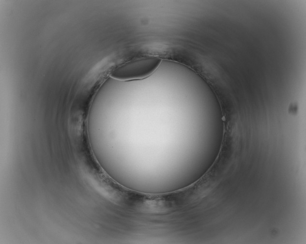 X0000112110744200908111442