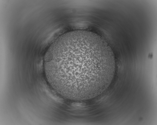 X0000112110745200908111442