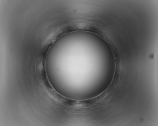 X0000112110746200908111442