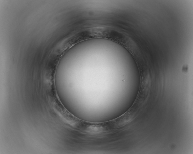 X0000112110749200908111442