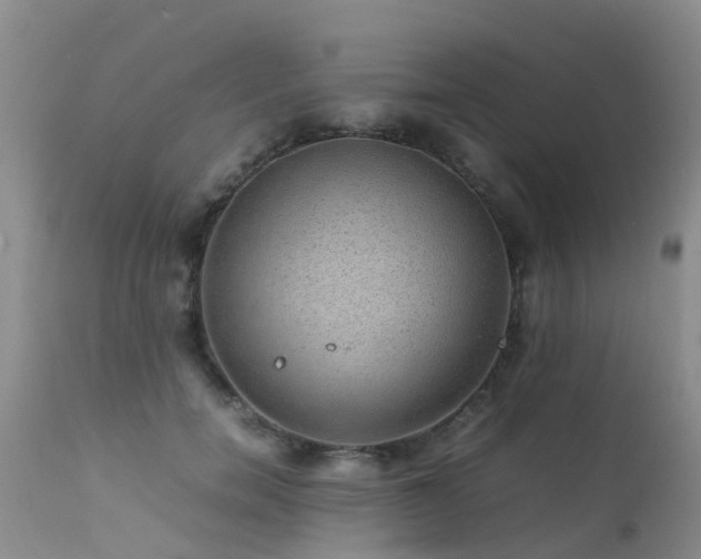 X0000112110750200908111442