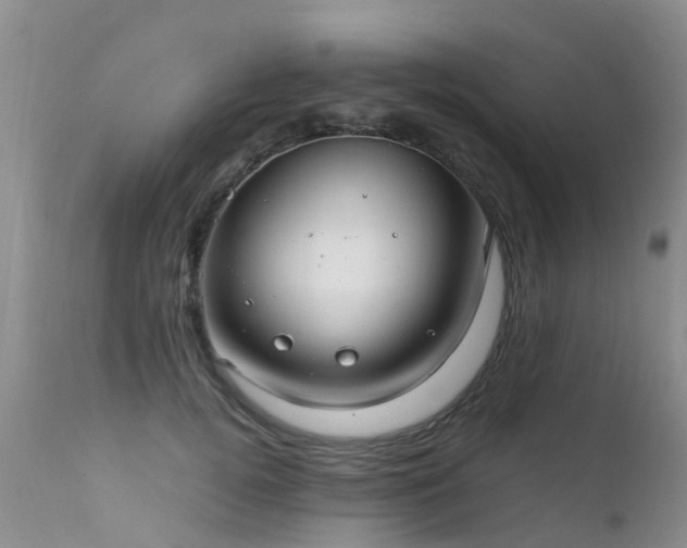 X0000112110752200908111442