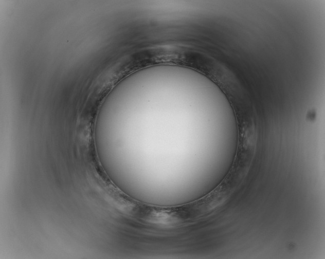 X0000112110753200908111442