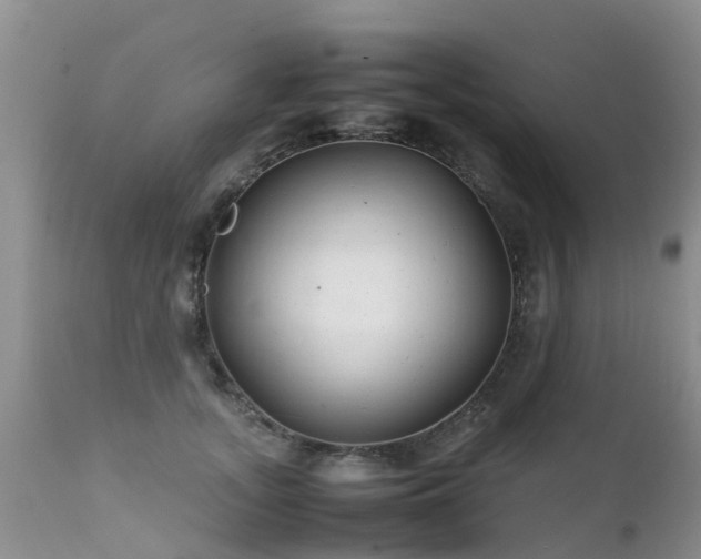 X0000112110755200908111442